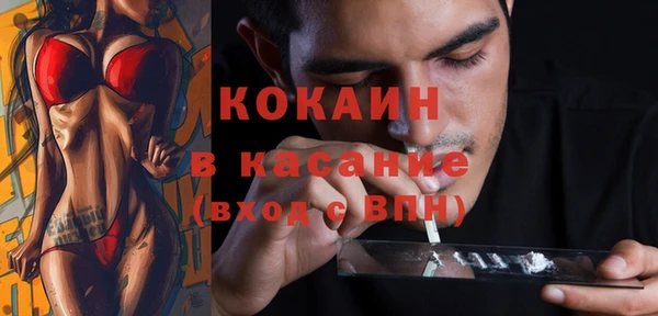 дживик Бородино