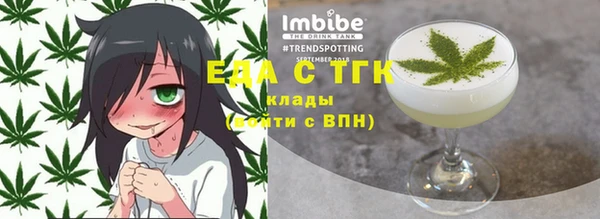 дживик Бородино