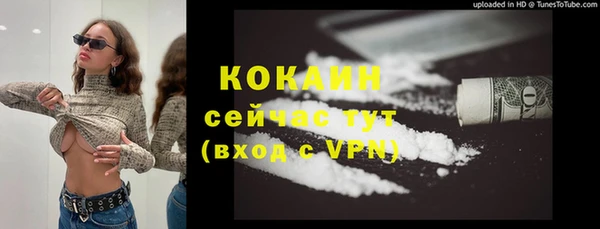 дживик Бородино