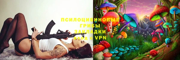дживик Бородино