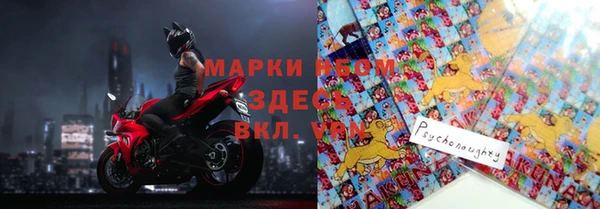 дживик Бородино