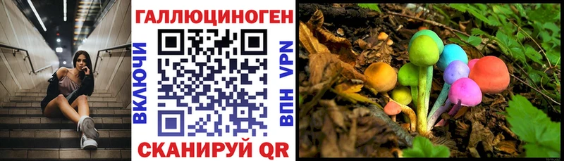 даркнет сайт  кракен ССЫЛКА  Псилоцибиновые грибы GOLDEN TEACHER  Нарткала 