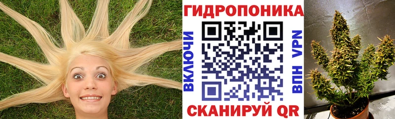 Каннабис план Нарткала